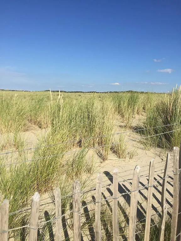 別荘 Haags Duinhuis - Familyfriendly Holidayhome